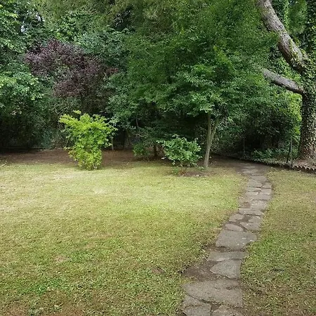 100 M Du Touquet Entre Foret Et *