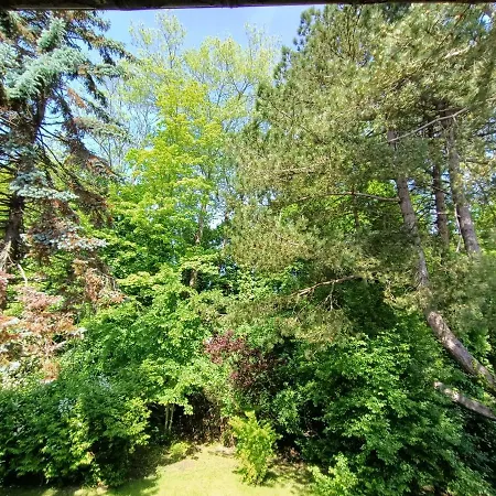 فيلة 100 M Du Touquet Entre Foret Et كوسيك