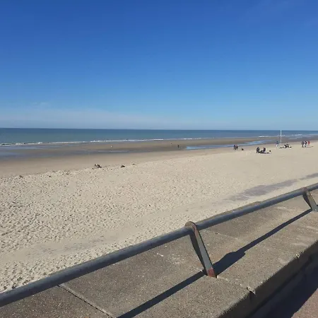 فيلة 100 M Du Touquet Entre Foret Et