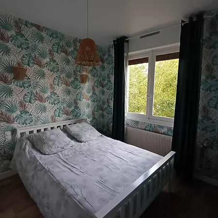100 M Du Touquet Entre Foret Et * كوسيك
